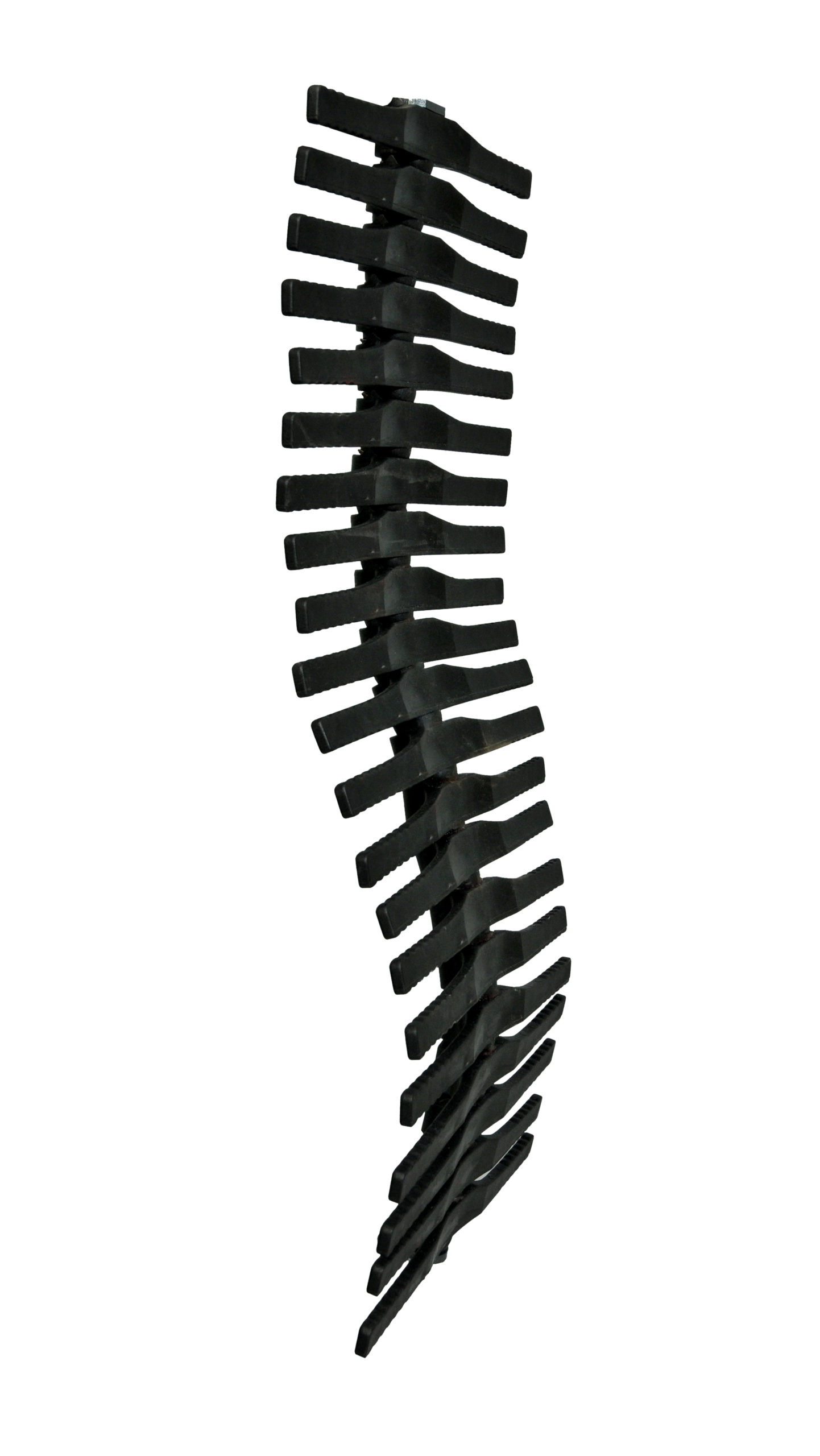 Second spine